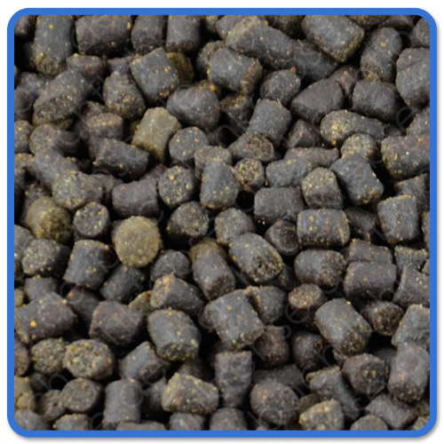 SteCo Prime Pellets für Störe - Fischfutter - Körnung 3 mm Störfutter
