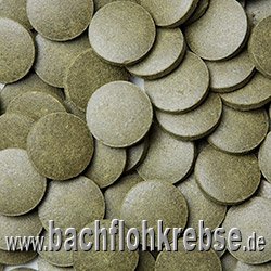Jumbo Bodentabletten mit 36% Spirulina