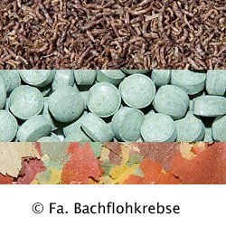 Aquariummix Sparpaket
