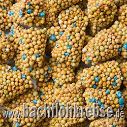 Pflanzend�nger Premium_1