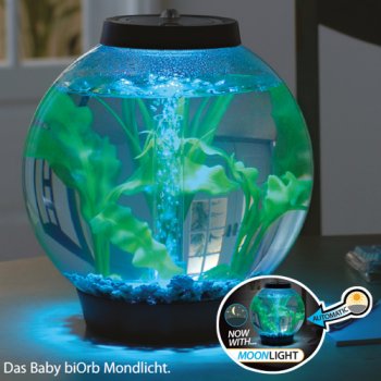 Baby biOrb Komplettaquarium 15L Moonlight Edition_1