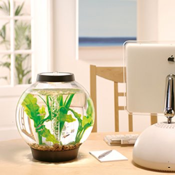 Baby biOrb Komplettaquarium 15L Moonlight Edition_2