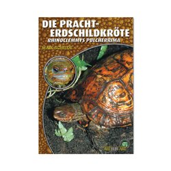 Die Pracht Erdschildkr�te