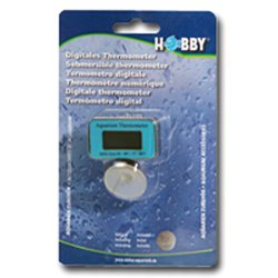 Blaues Digitales Thermometer von Hobby