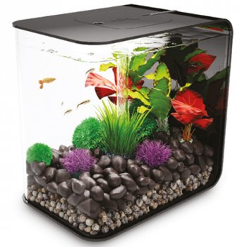 biOrb Flow 30 Liter Aquarium_1