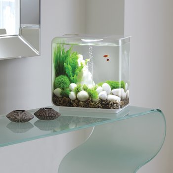 biOrb Flow 30 Liter Aquarium_2