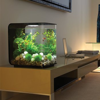 biOrb Flow 30 Liter Aquarium_3