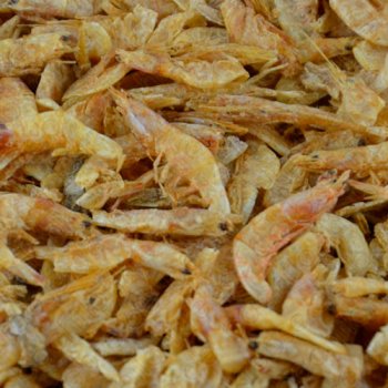 Garnelen (River Shrimps)