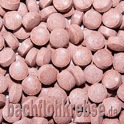 Cichliden Bodentabletten