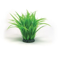Deko-Grasring gro�