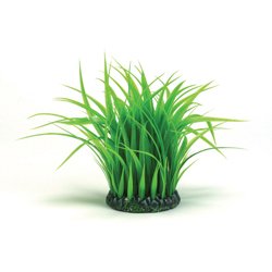 Deko-Grasring mittel