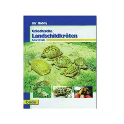 Griechische Landschildkr�ten