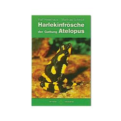 Harlekinfr�sche der Gattung Atelopus