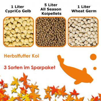Herbstfutter Koi  -  3 Sorten im Sparpaket