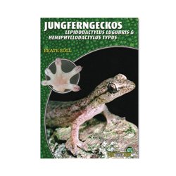 Jungferngeckos