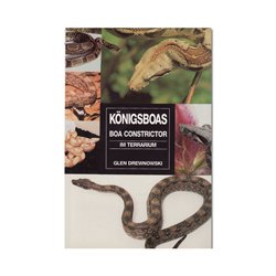 K�nigsboas Boa Constrictor