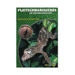 Plattschwanzgeckos