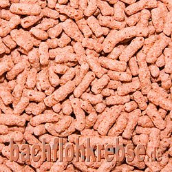 Teichsticks Premium Rot