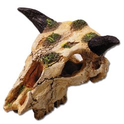 Totenkopf Carabao Wasserb�ffel Gr XS