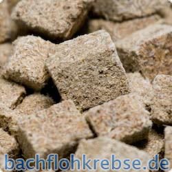 Tubifex (Bachr�hrenw�rmer)