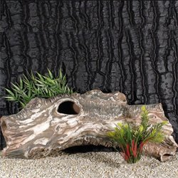 Wurzel R�hre 50x12cm