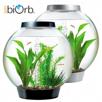 Baby biOrb Komplettaquarium 15L