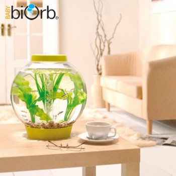 Baby biOrb Komplettaquarium 15L_4