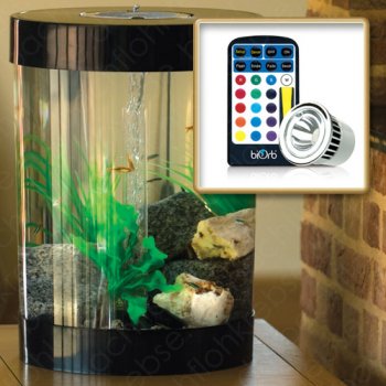 biUbe 35 Liter Aquarium Set mit Multicolour LED