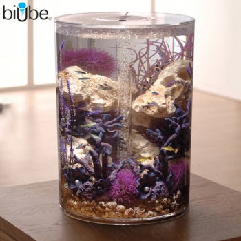 biUbe Pure Komplett-Aquarium 35 Liter_1