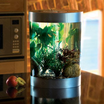 biUbe 35 L Komplett-Aquarium mit Halogen Licht