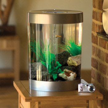 biUbe 35 Liter Komplettaquarium mit LED-Licht