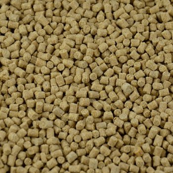 Cichlidenpellets (mittel 3mm)