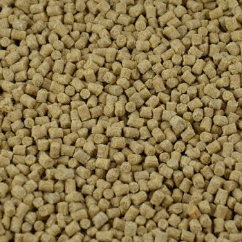 Cichlidenpellets (mittel 3mm)