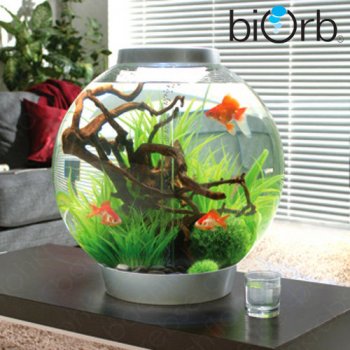 biOrb Classic 105 L Kaltwasser Komplett-Aquarium_1
