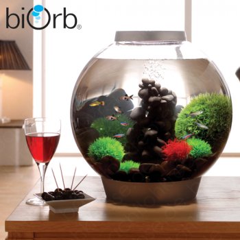 biOrb Classic 60L Warmwasser Komplett-Aquarium