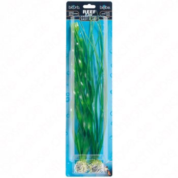 Pflanzen-Set (2x) gro�