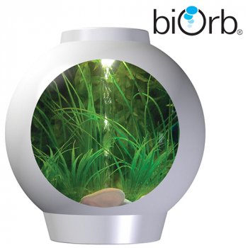 spyOrb Komplett Aquarium 30L Kaltwasser