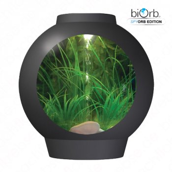 spyOrb Komplett Aquarium 30L Kaltwasser