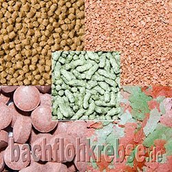 Cichliden Sparpaket