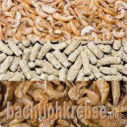 3L Schildkr�tenmix