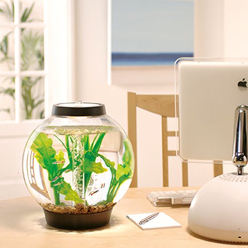 Baby biOrb Komplettaquarium 15L Moonlight Edition