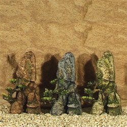 Bonsai Felsen