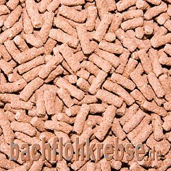 Cichlidensticks Rot