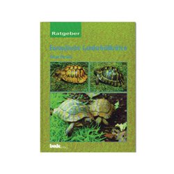 Europ�ische Landschildkr�ten