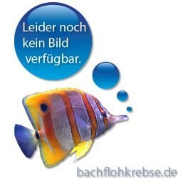 Filtervlies EHEIM 2250 2260 3450 3460 3480 2er
