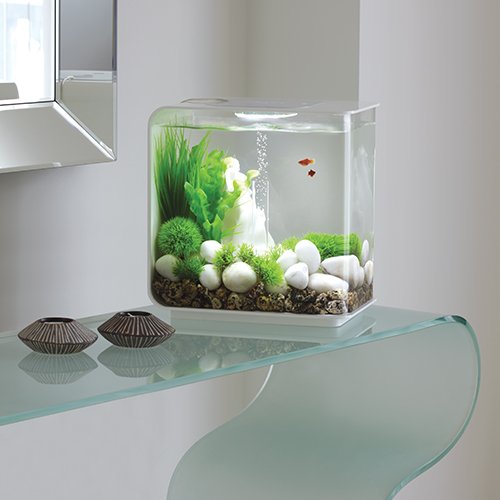 biOrb Flow 30 Liter Aquarium bei bachflohkrebse.de