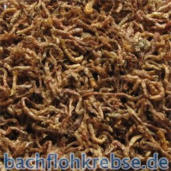 Rote M�ckenlarven