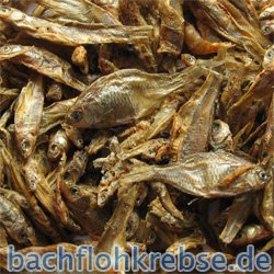 Stinte (getrocknete S��wasserfische / Trockenfisch)