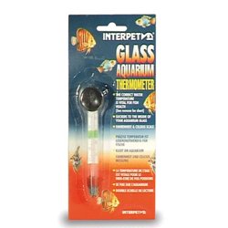 Thermometer Glas I