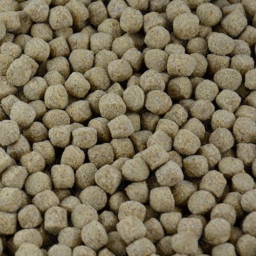 Koipellets All Season 6 mm